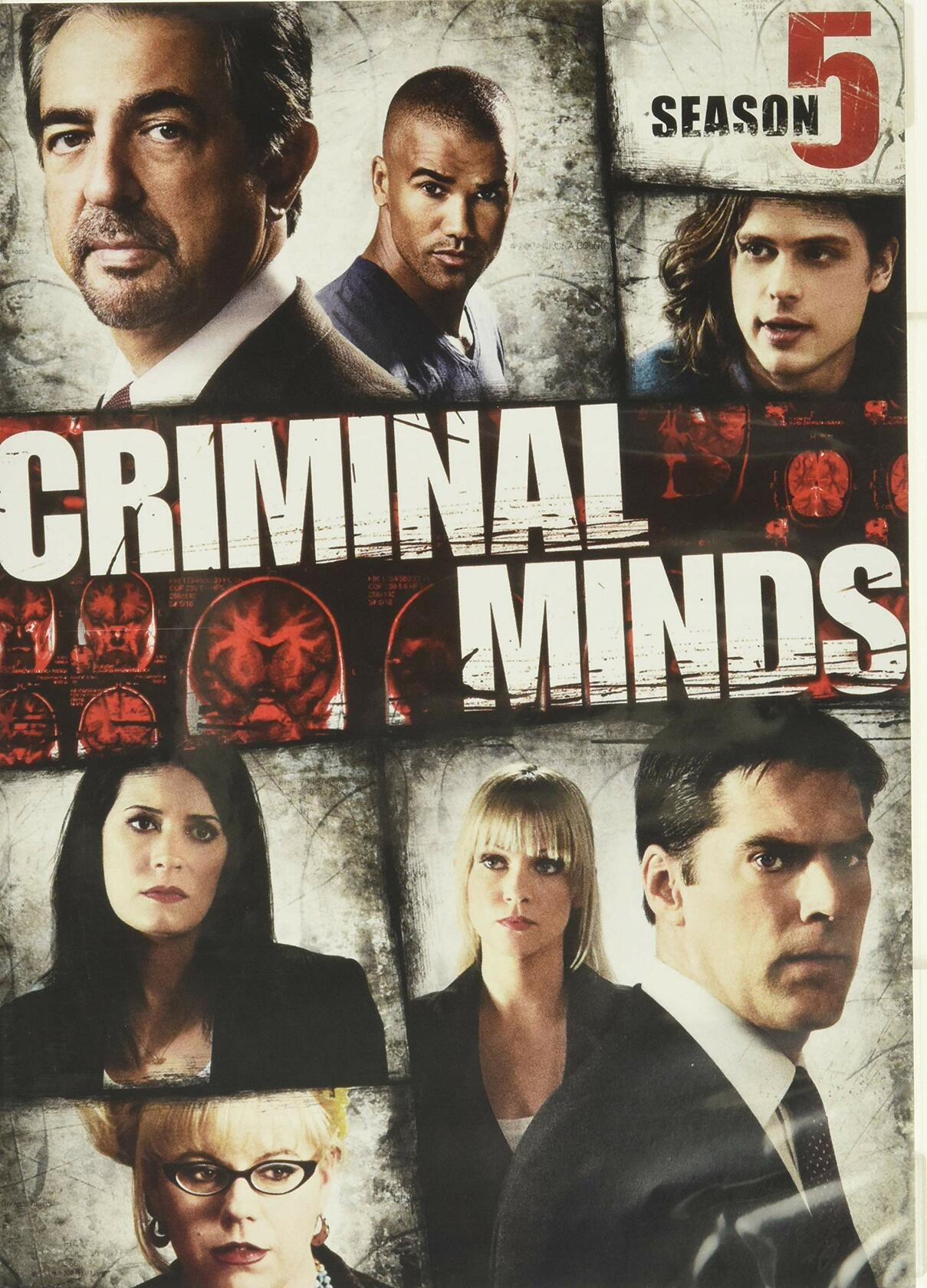 Criminal Minds: Season 5 [DVD] - Very Good