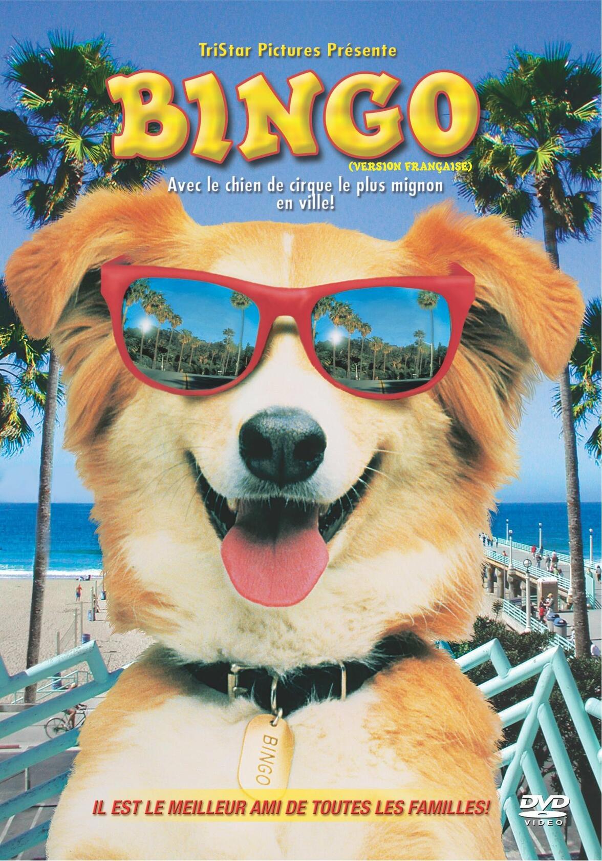 Bingo French (Bilingual) [DVD] - Very Good