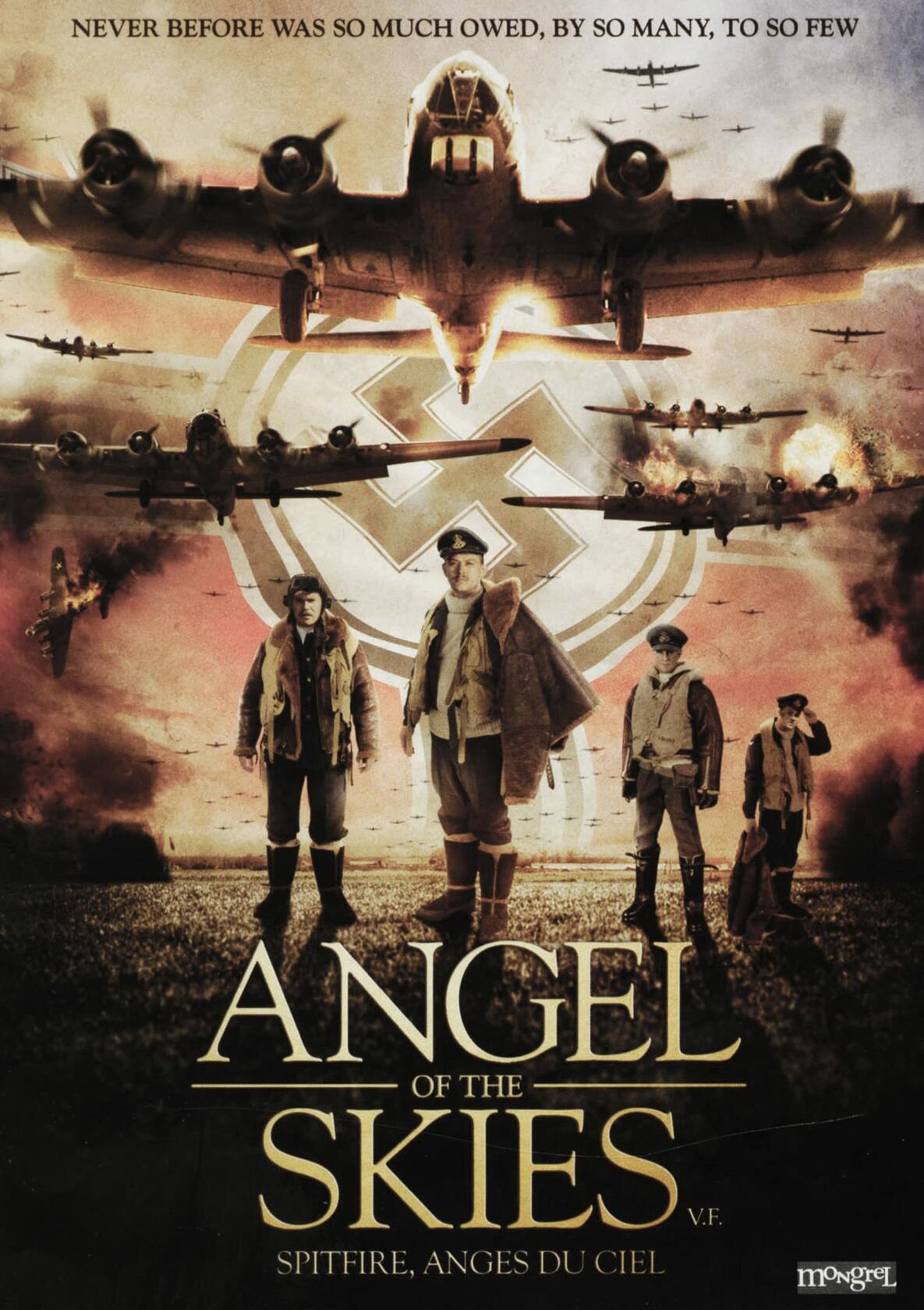 Angel of the Skies (Spitfire, anges du ciel) (Bilingual) [DVD] - Very Good