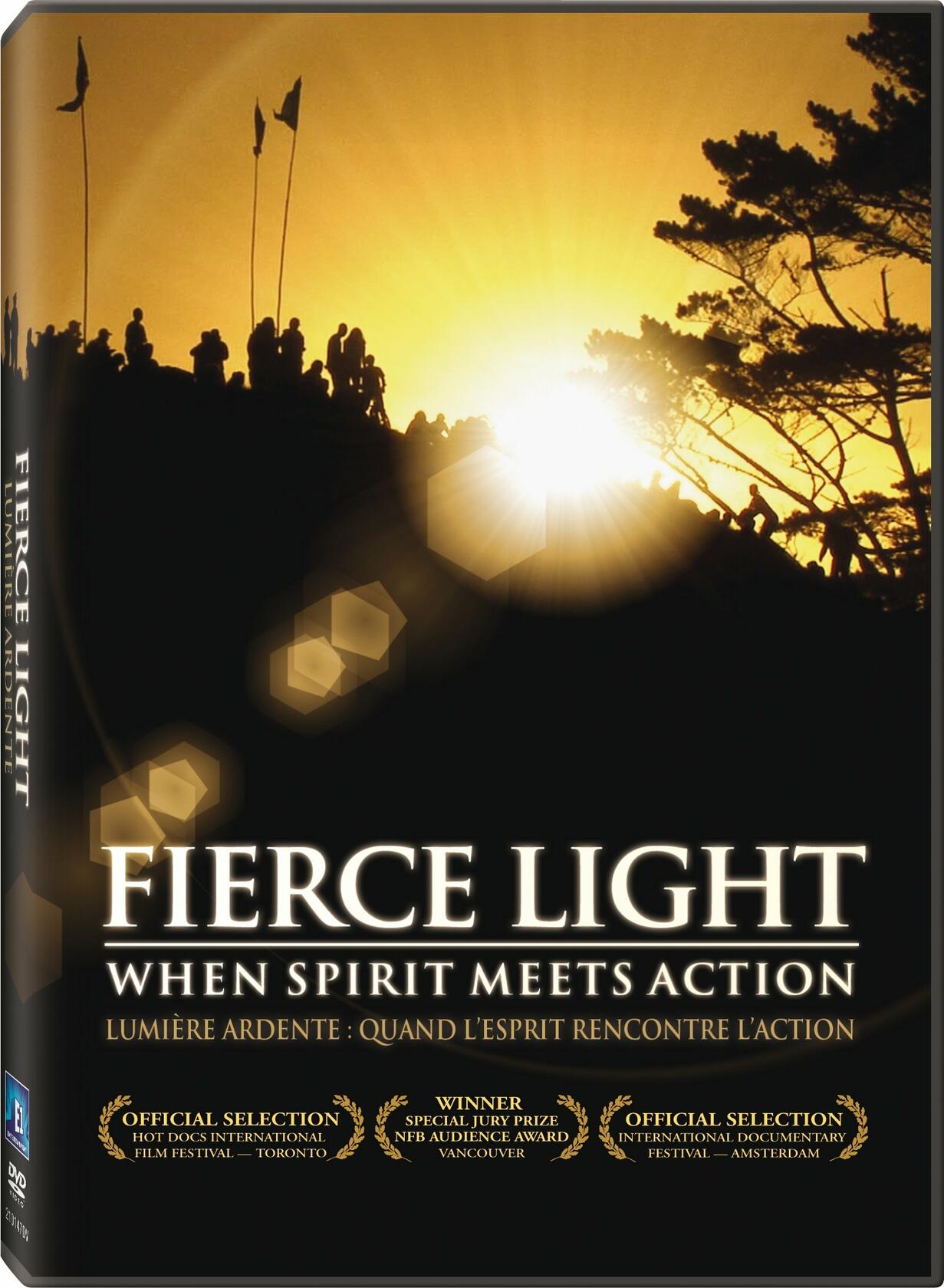 Fierce Light: When Spirit Meets Action [DVD]