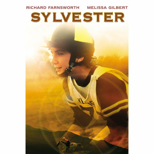 Sylvester [DVD] - Very Good