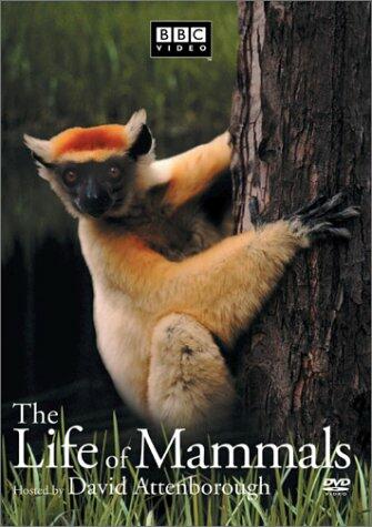 The Life of Mammals, Vol. 3 [Import] [DVD] - Very Good
