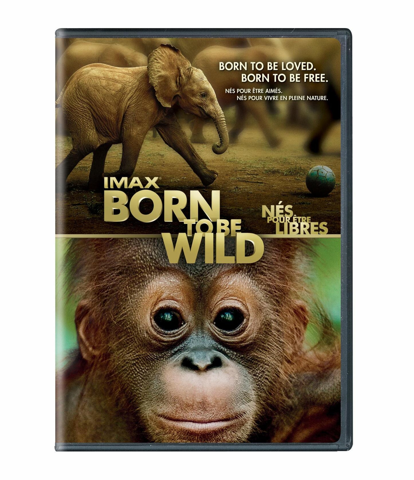 IMAX: Born to Be Wild (Sous-titres franais) (Bilingual) [DVD] - Very Good