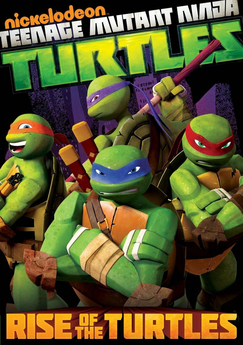 Teenage Mutant Ninja Turtles: Rise of the Turtles [DVD] - Very Good