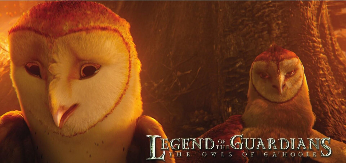 Legend of the Guardians: The Owls of Ga#Hoole (DVD) [DVD] - Very Good