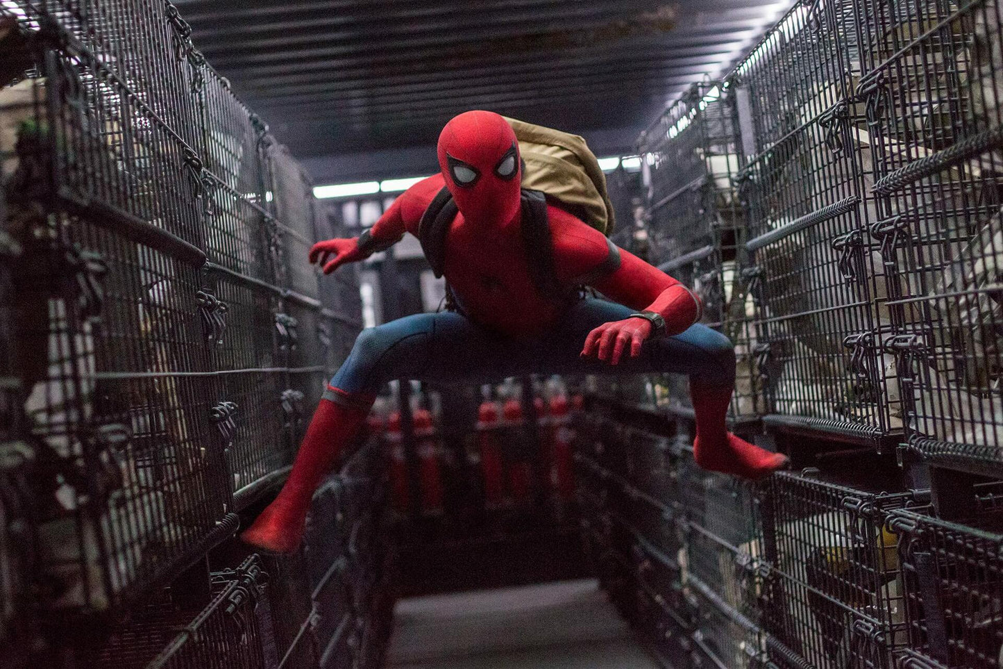 Spider-man: Homecoming (bilingual) [DVD] - Good