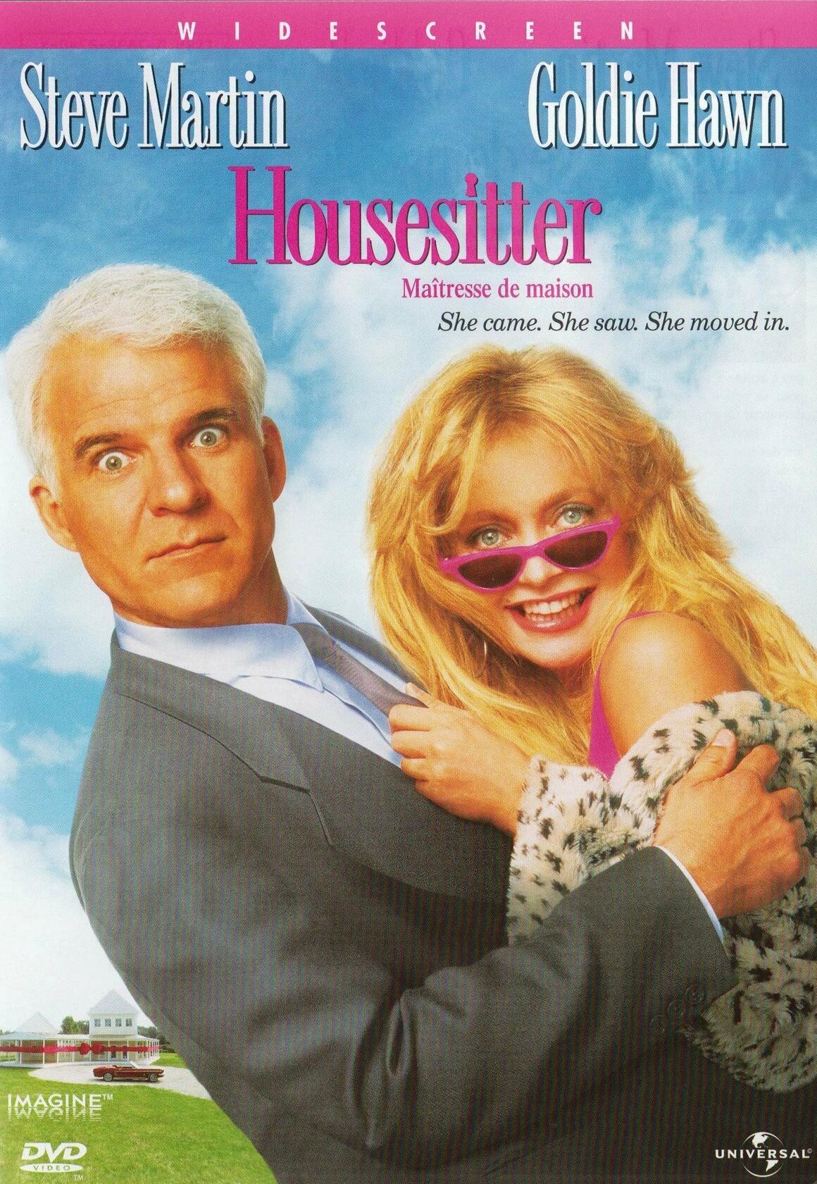 Housesitter (Widescreen) [DVD] - Very Good