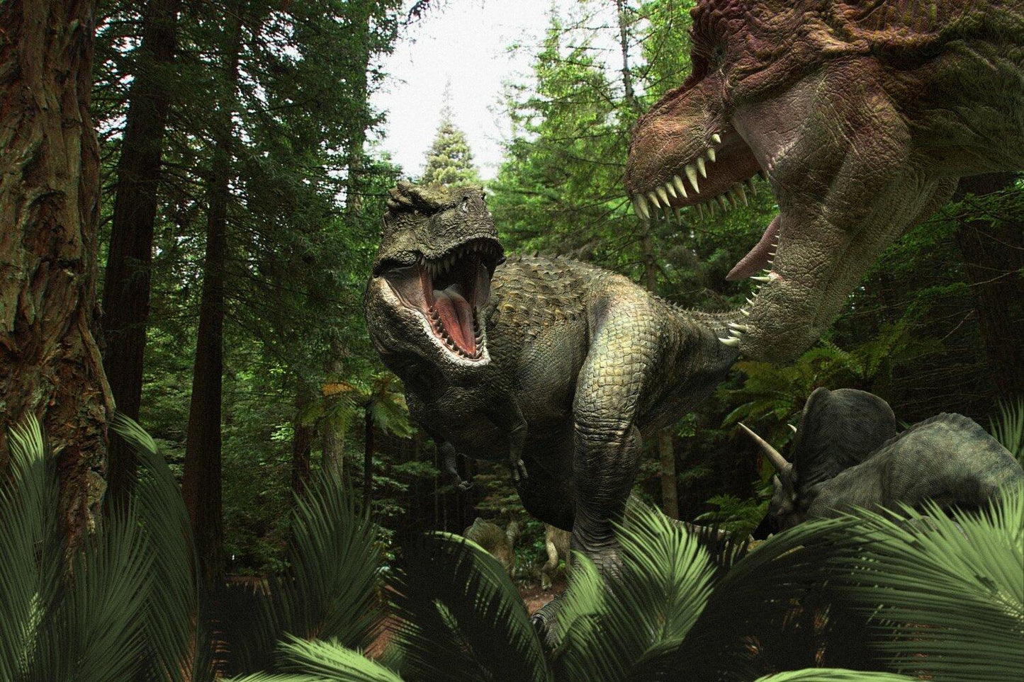 Dino King (2012)^Dino King (Tarbosaurus) [DVD] - Very Good