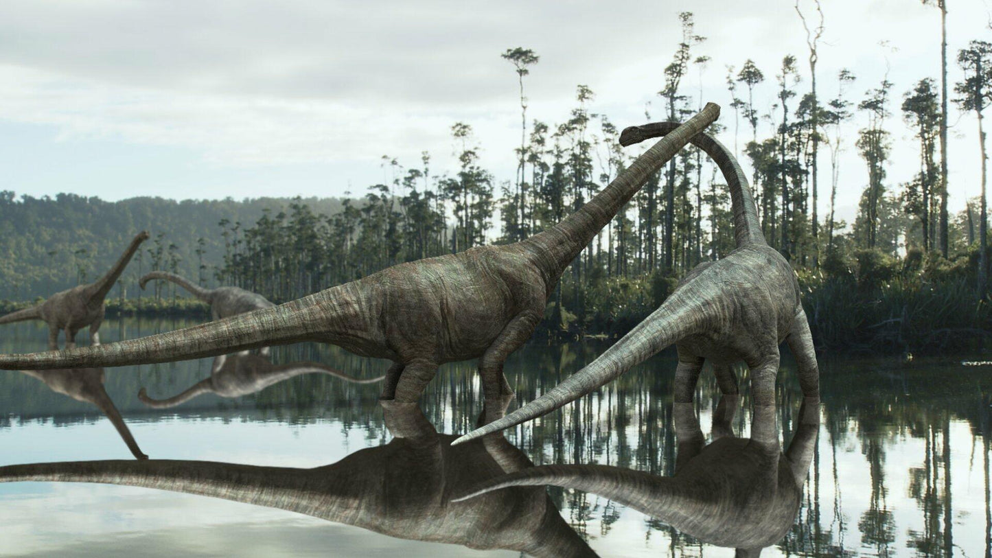 Dino King (2012)^Dino King (Tarbosaurus) [DVD] - Very Good