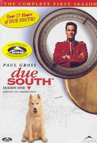 Due South: The Complete First Season [DVD]