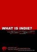 What Is Indie [DVD]