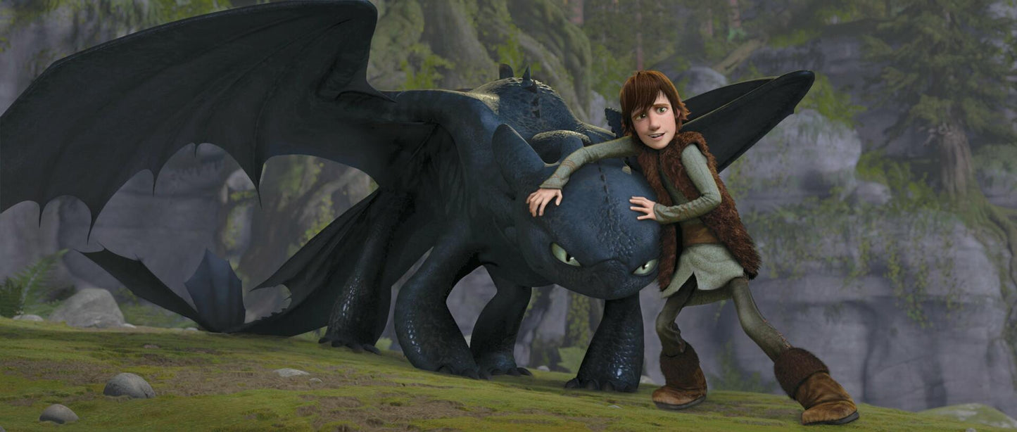 How To Train Your Dragon [Widescreen] [DVD] - Very Good