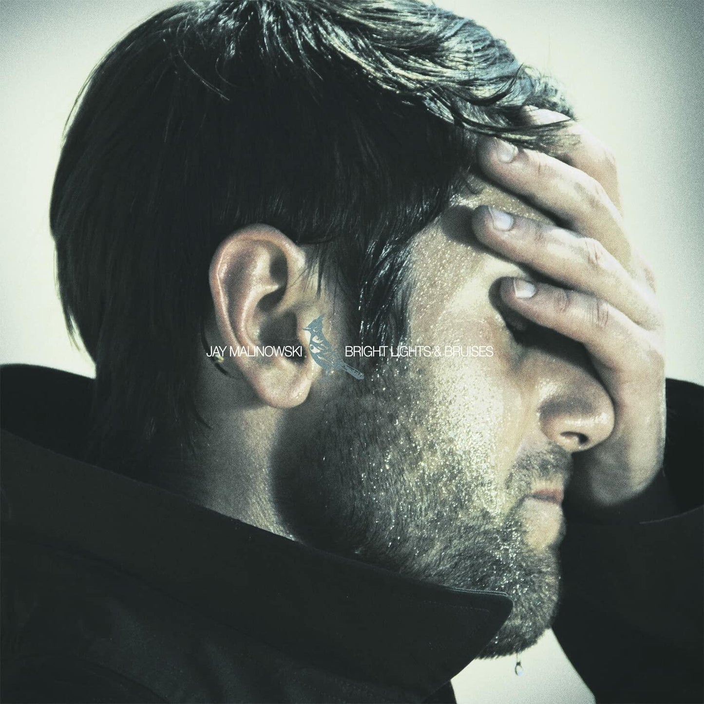 Bright Lights & Bruises [Audio CD] Malinowski, Jay - Good