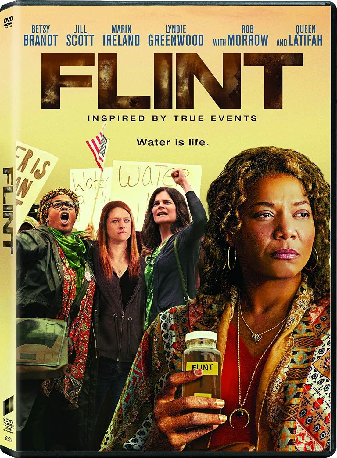Flint [DVD] - Good