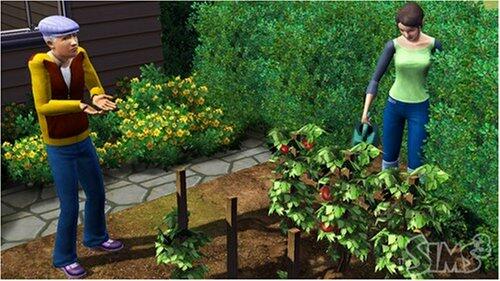 The Sims 3 (Fr/Eng manual) [video game]