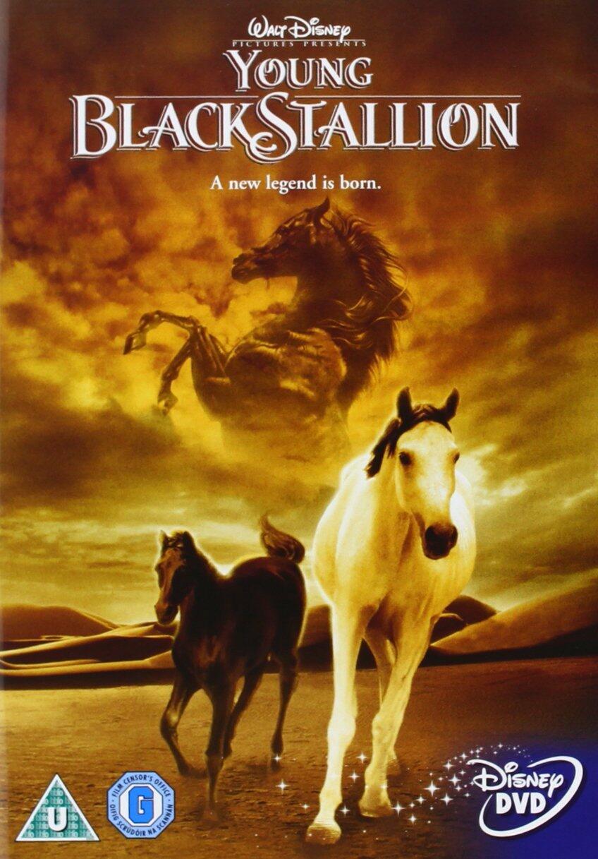 The Young Black Stallion [DVD] [DVD]