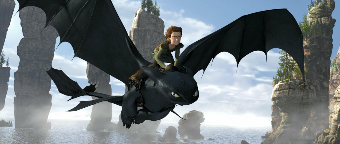 How To Train Your Dragon [Widescreen] [DVD] - Very Good