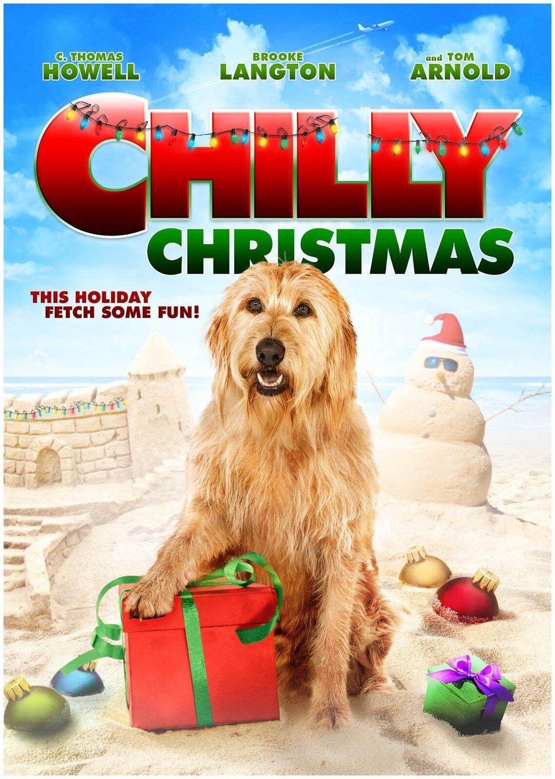 Chilly Christmas [DVD]