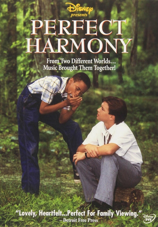 Perfect Harmony [DVD] - Very Good