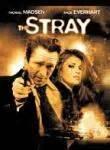 The Stray [Import] [DVD] - Very Good