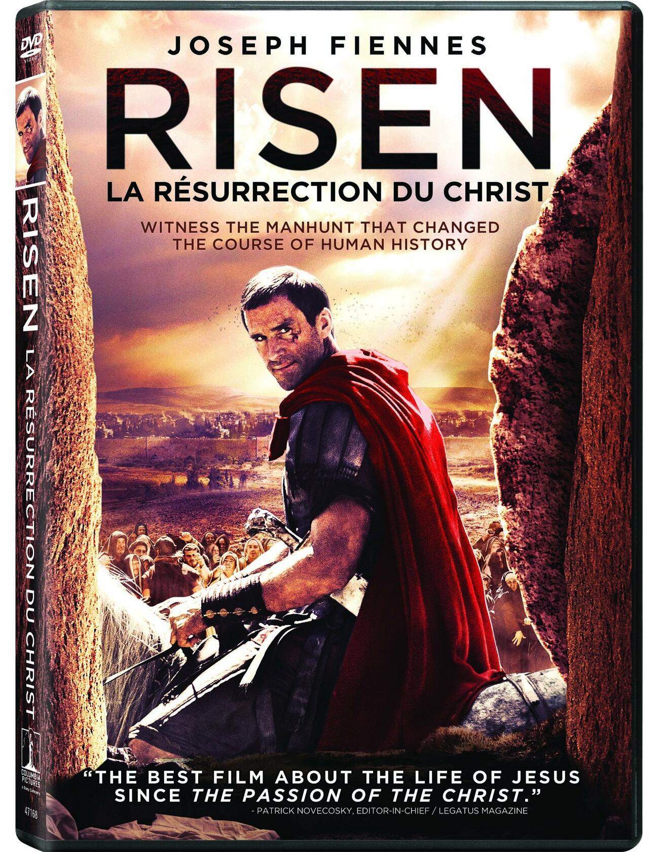 Risen Bilingual [DVD] - Good