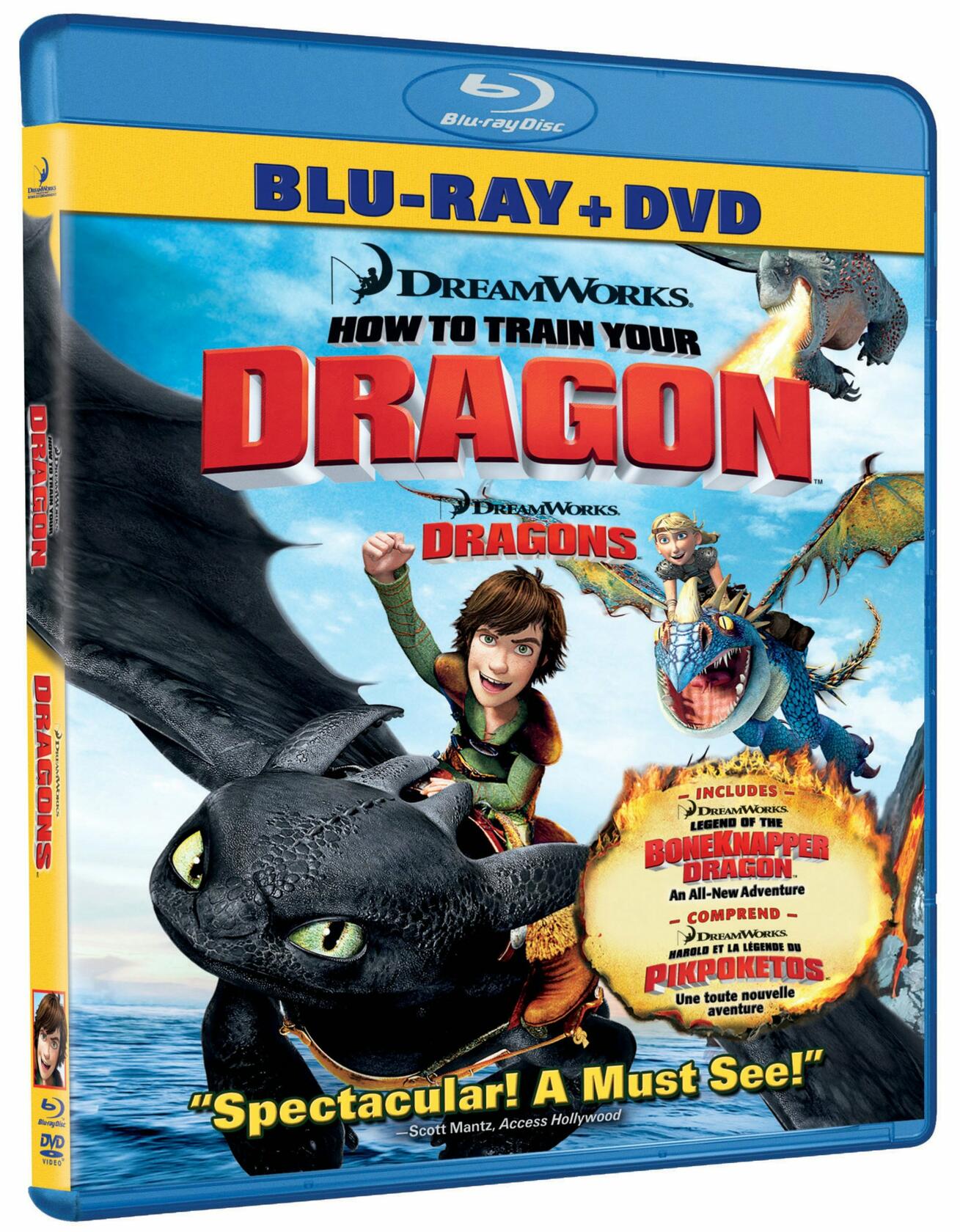 HOW TO TRAIN YOUR DRAGON [Blu-ray]