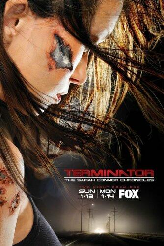 Terminator: The Sarah Connor Chronicles - The Complete First Season [DVD] - Good