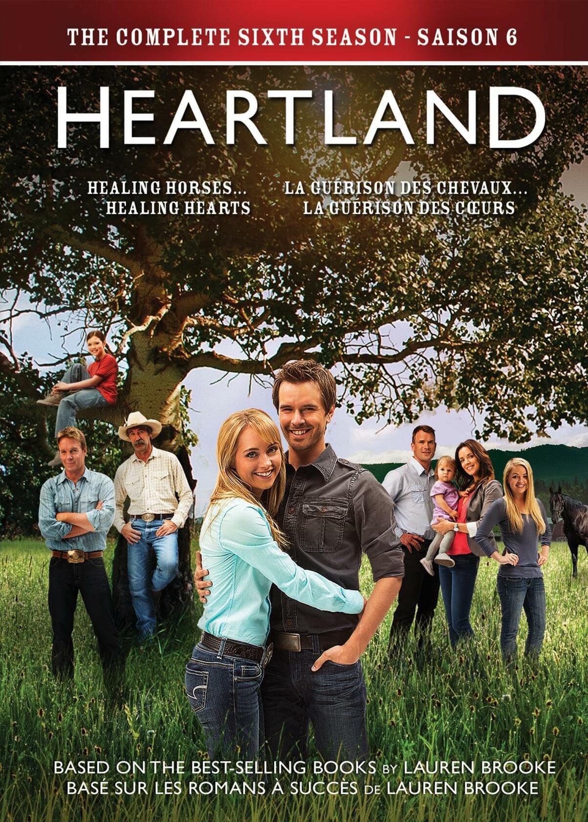 Heartland: Season 6 [DVD] - Very Good