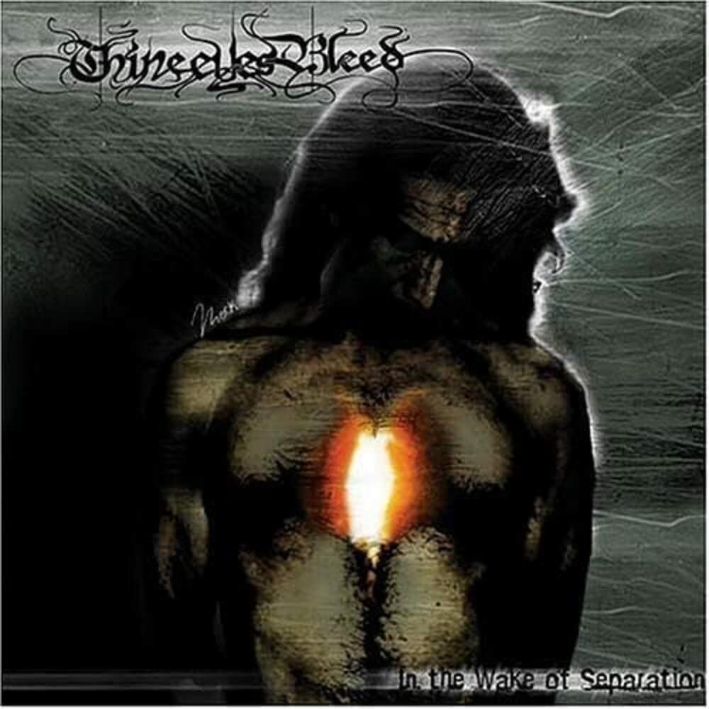 In The Wake Of Seperation (Reissue) [Audio CD] Thine Eyes Bleed - Very Good