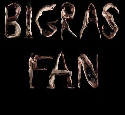 Fan [Audio CD] Dan Bigras; Dan Mongrain; Patricia Darche; Jonathan Milewski; Derek Friesen; Nicolas Godbout; Chris Morrissette; Kim Richardson; Jules Payette; Martine Labb; Bobbie Jane Desforges; Maxime Pag; Benjamin Deschamps; Felix del Tredici.. - Good