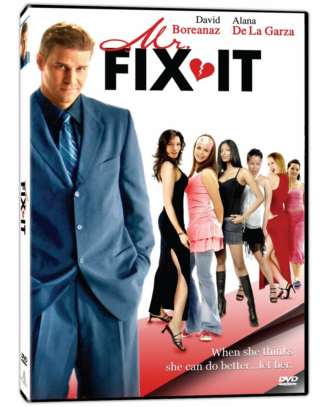 Mr. Fix It [DVD] - Very Good