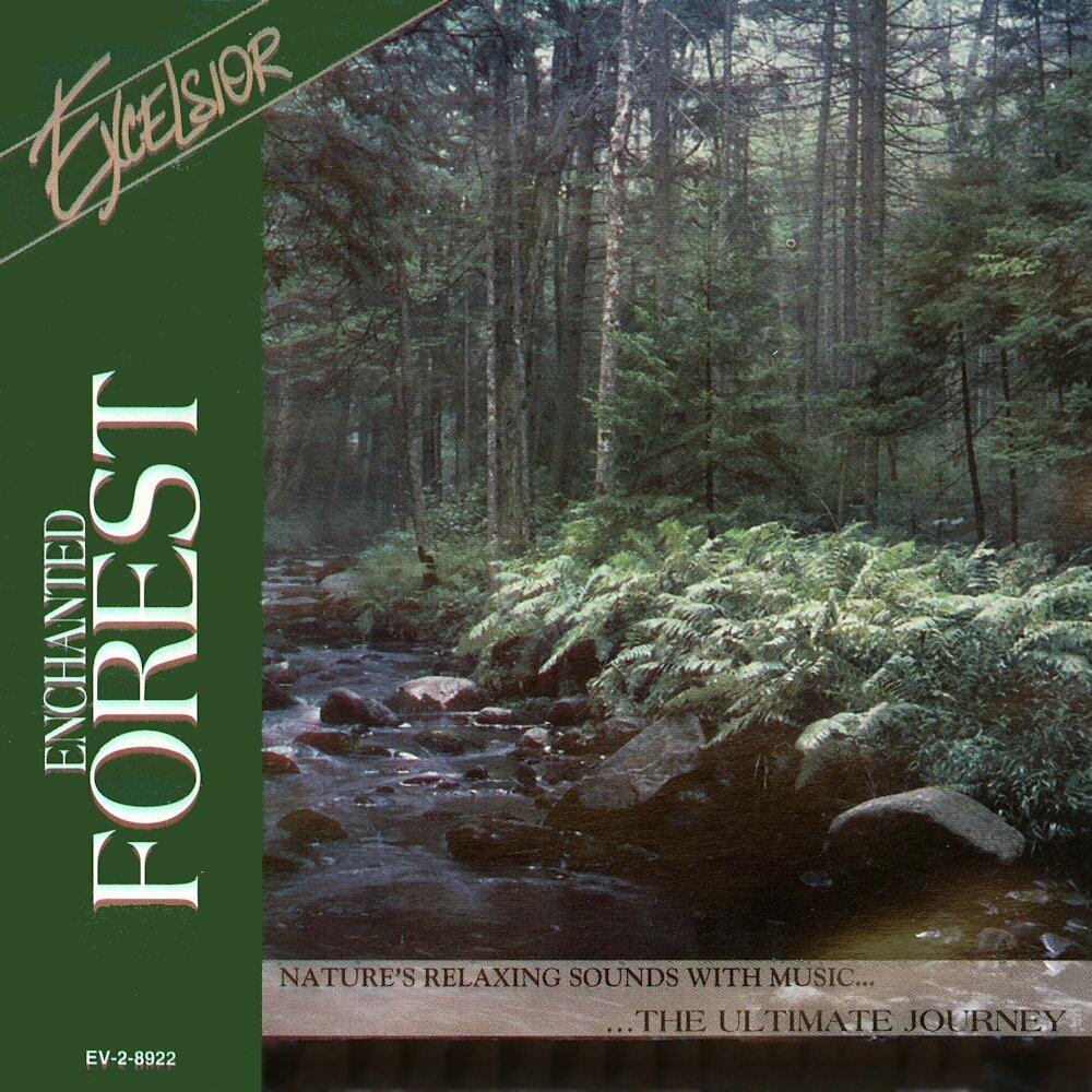 Enchanted Forest [Audio CD] - Very Good