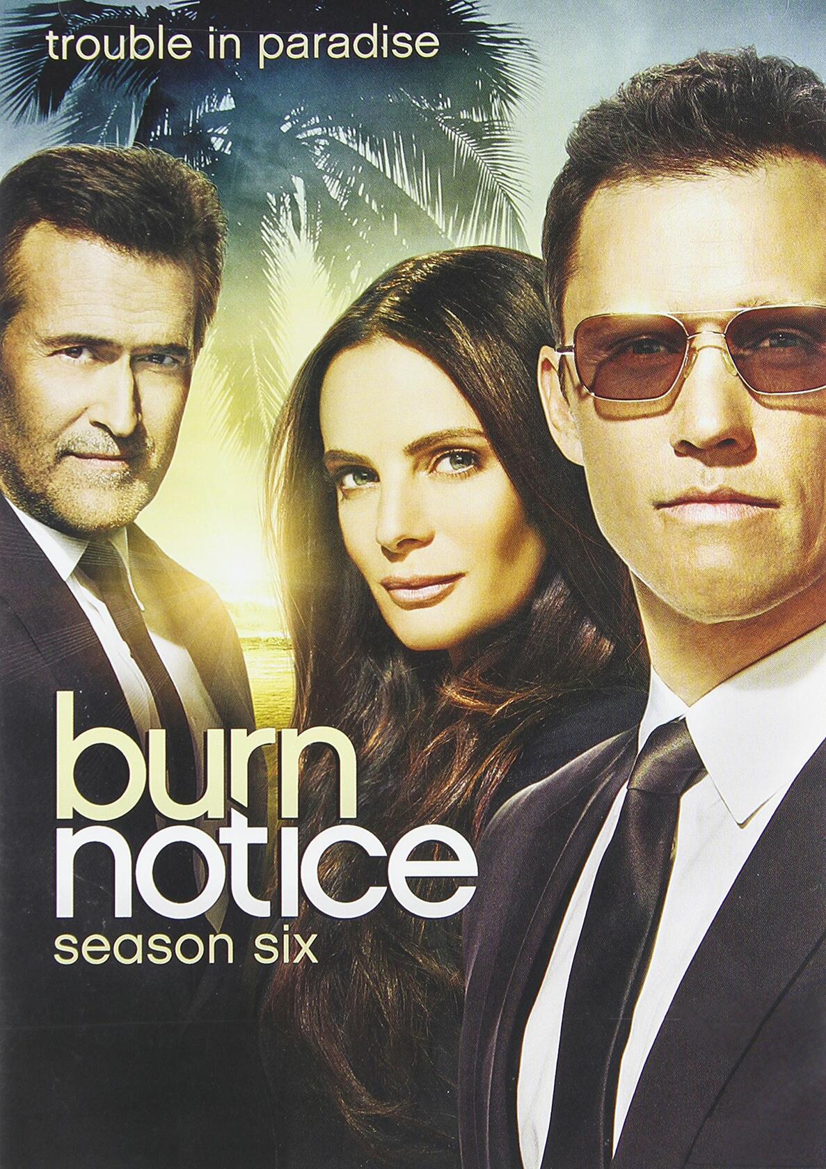 Burn Notice: The Complete Sixth Season [DVD]