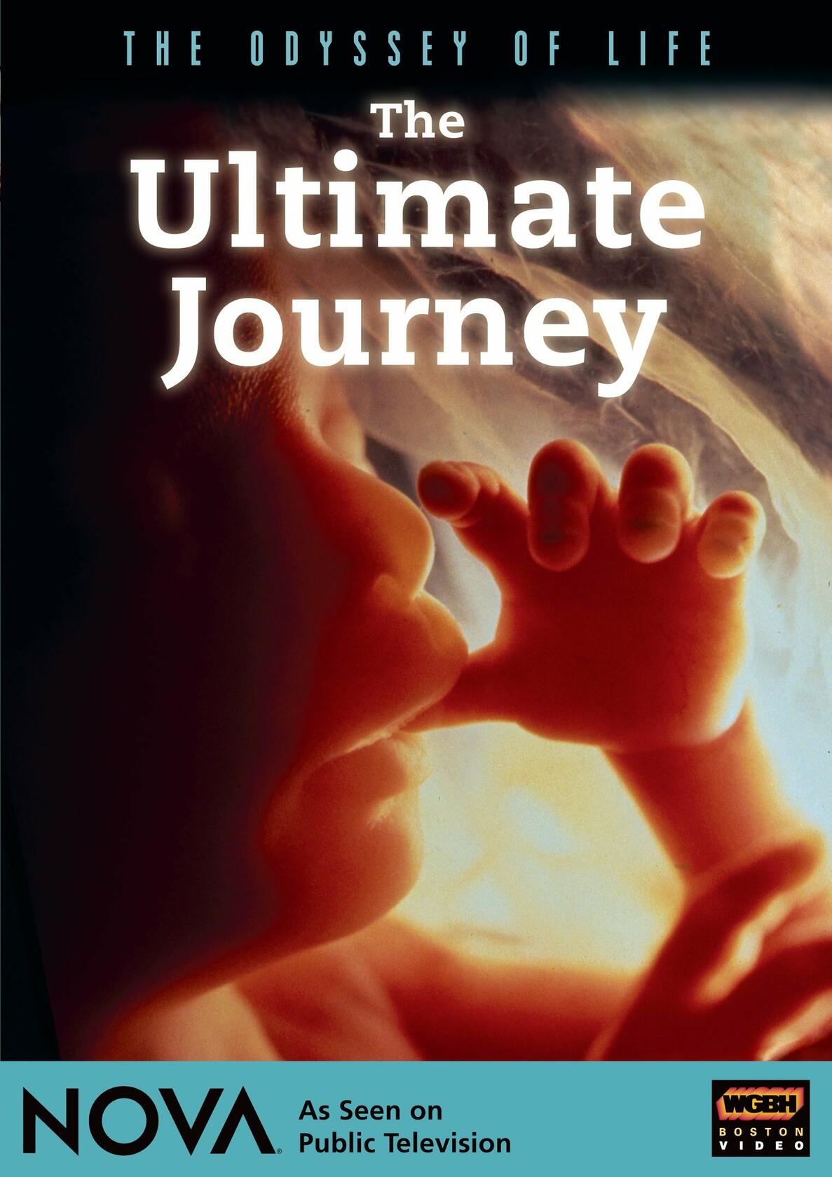 The Ultimate Journey [DVD]