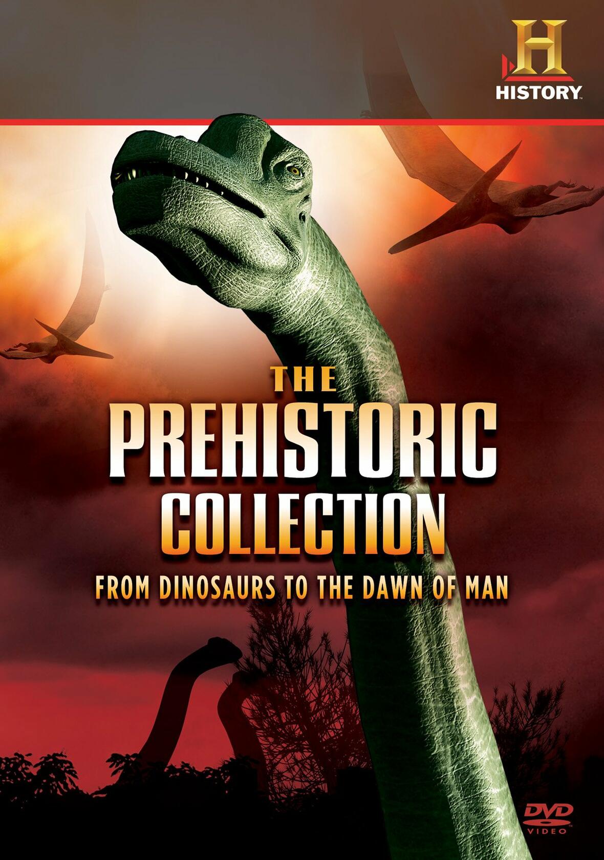 The Prehistoric Collection: From Dinosaurs to the Dawn of Man [DVD] - Very Good