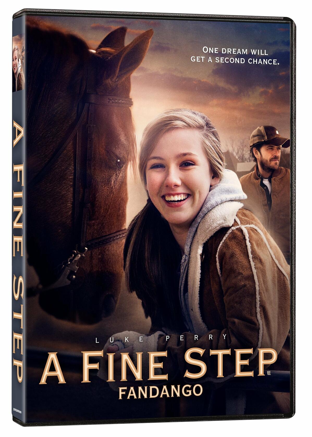 A Fine Step (Fandango) (Bilingual) [DVD] - Very Good