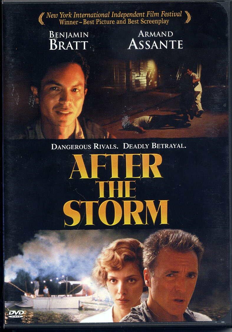 After the Storm [Import] [DVD] - Very Good