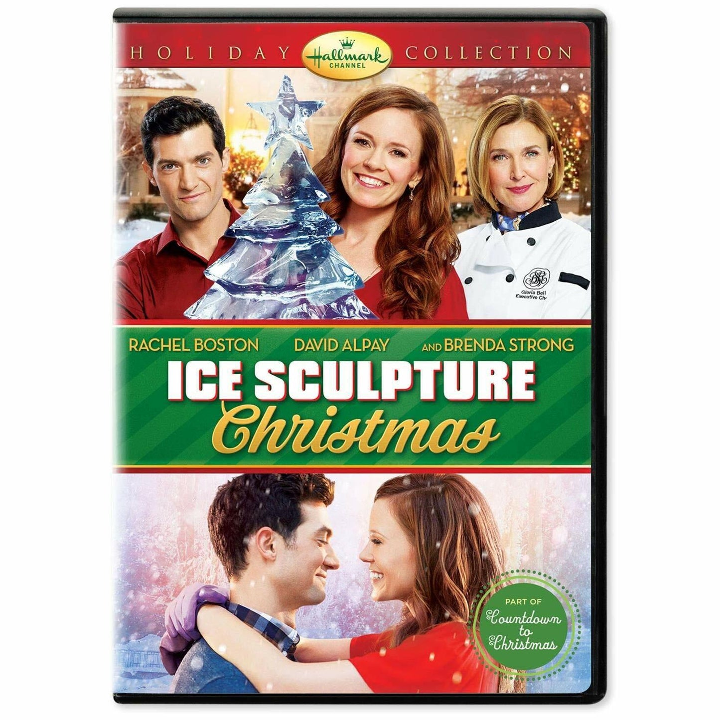 Ice Sculpture Christmas [DVD] - Very Good