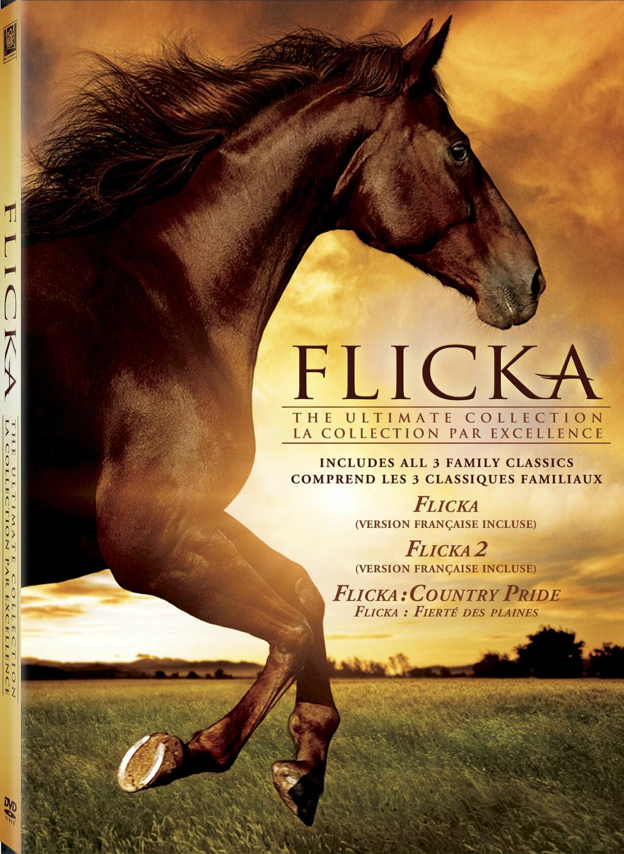 Flicka: The Ultimate Collection (Flicka / Flicka 2 / Flicka: Country Pride) (Bilingual) [DVD] - Very Good