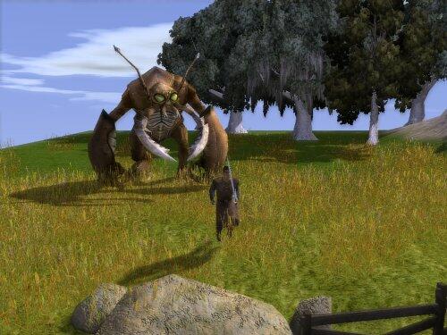 Neverwinter Nights 2 Limited Edition ( DVD-Rom ) [video game] - Good