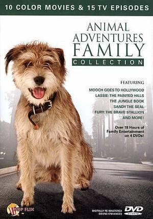 Animal Adventures Family Col [Import] [DVD]