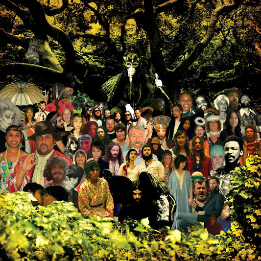 Cripple Crow [Audio CD] Banhart, Devendra - Very Good
