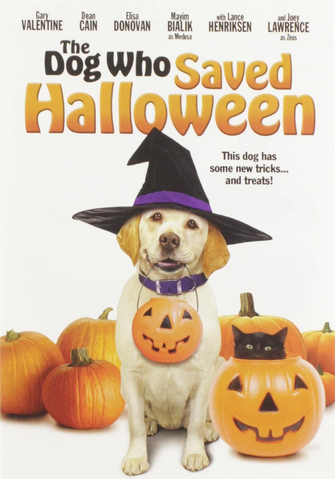 The Dog Who Saved Halloween [DVD]