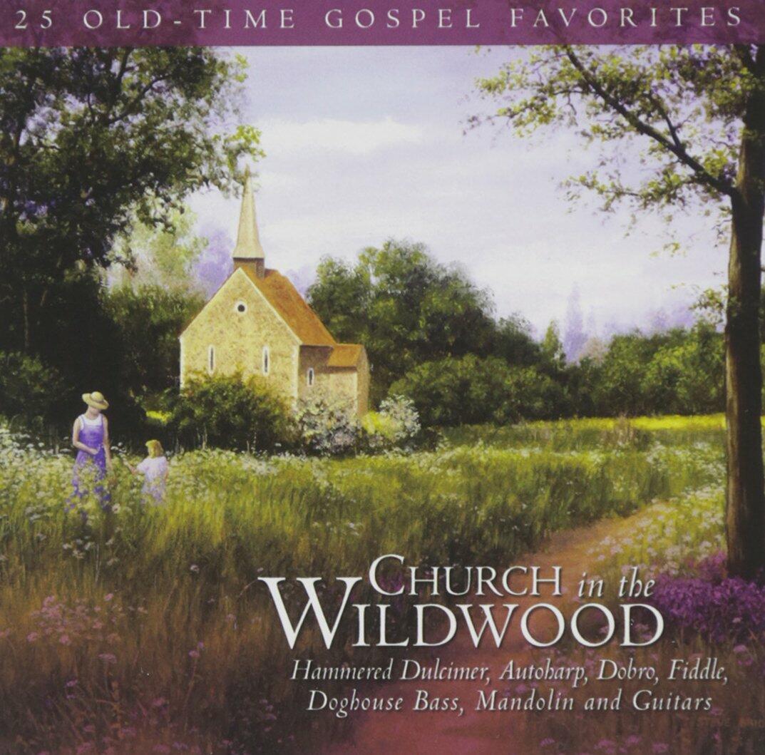 Church In Wildwood [Audio CD] VICK,WANDA & FRIENDS - Very Good