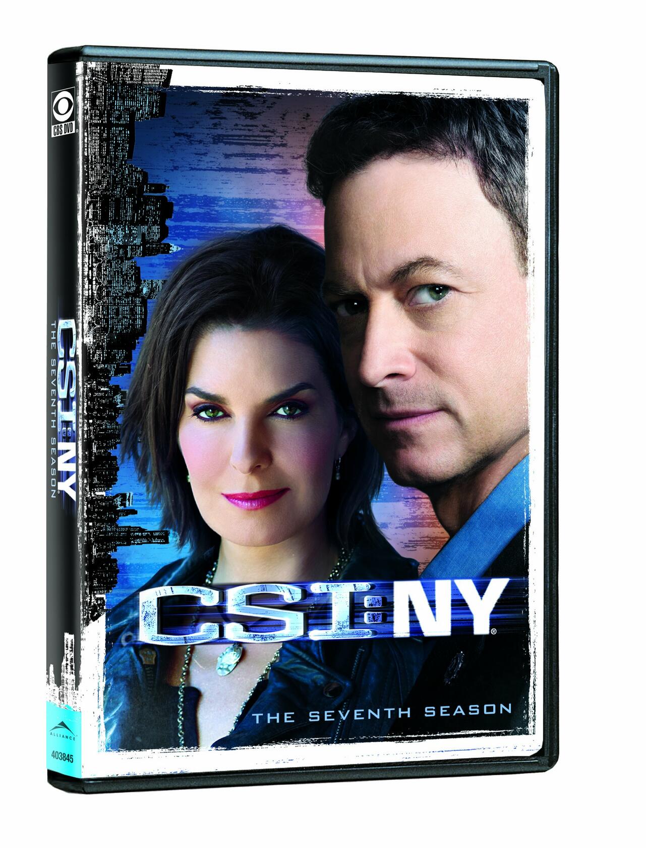 CSI: New York - The Complete Seventh Season [DVD]