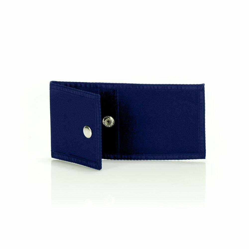 Hold on Hope [Audio CD] Guided by Voices and Ric Ocasek - Very Good