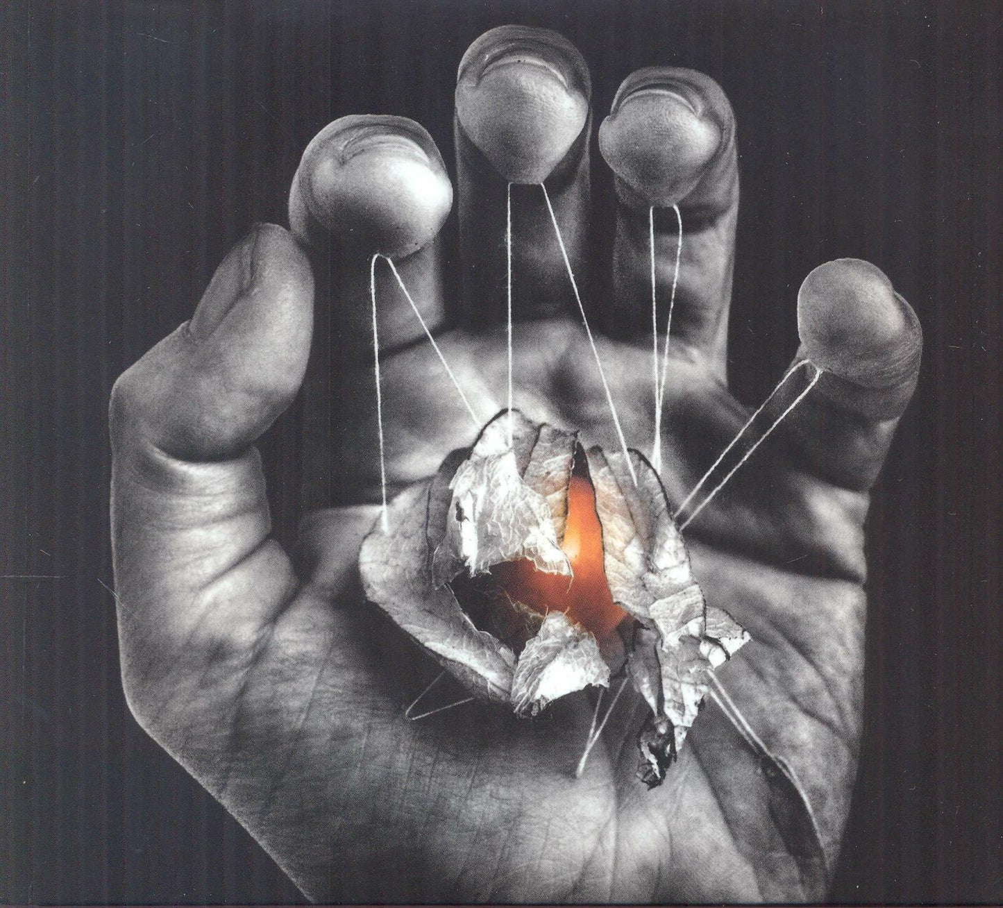 Betty Bonifassi [Audio CD] Betty Bonifassi - Very Good