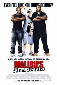 Malibu's Most Wanted (FF) (FRENCH) (DVD) [DVD] - Good