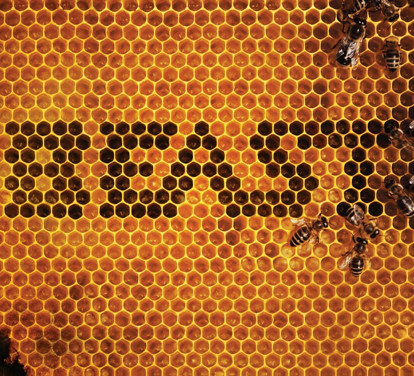 Beast [Audio CD] Beast - Very Good