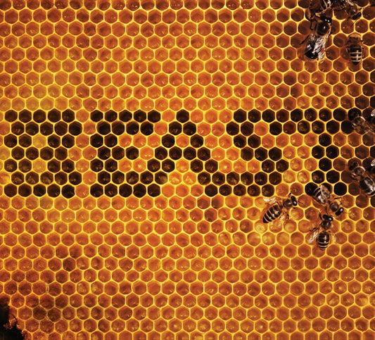 Beast [Audio CD] Beast - Very Good